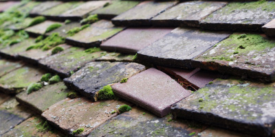 Walton Court roof repair costs